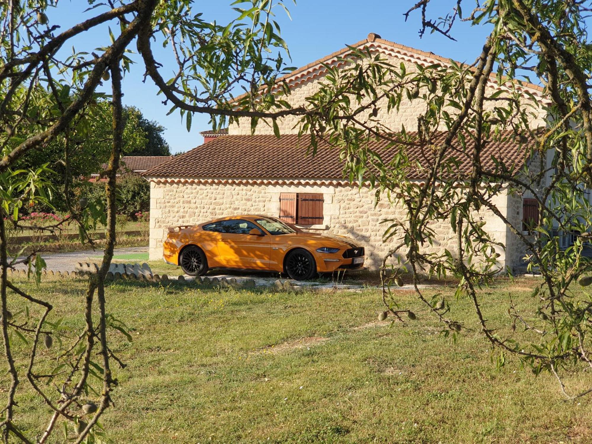 Gite Et Piscine L'Ecrin Aux Oliviers En Cevennes Saint-Christol-lès-Alès Exteriör bild